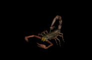 images-69_1_.gif