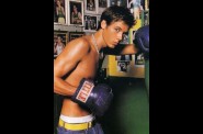 boxer003114.jpg