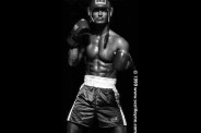 boxer010008c.jpg
