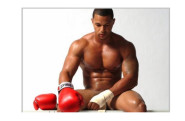 boxer03698.jpg