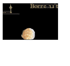 bonnenuit160308ra7.gif
