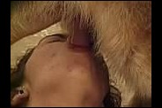 avec-chien.09.jpg