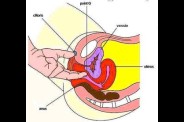 point_g.jpg