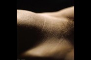 6972605-p.jpg