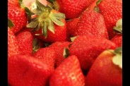 fraises.jpg