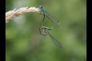 mes photos : divers