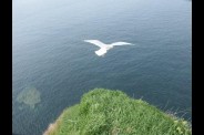 Mes photos : Paysages