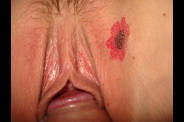 baison-tatou-s-l.jpg