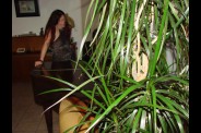 la-le-on-de-piano