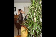 2008-01-31---piano-174-low.jpg
