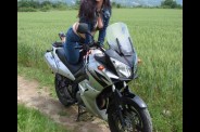 2008-05-22----50-Low.jpg