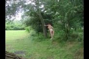 dsc01826-_resolution-de-l--ecran_.jpg
