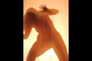 2007-11-18---ombres-chinoises-306-low.jpg