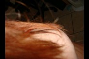 dsc03368-_desktop-resolution_.jpg