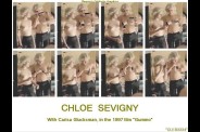Chloe-Sevigny--100-.jpg