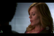 Marg-Helgenberger---CSI--64-.jpg