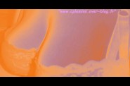 blog47-bis.jpg