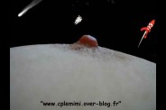 blog9.jpg