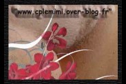 blog93.jpg