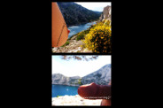 Picnik collage