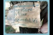 Blog190.jpg
