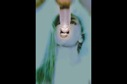 les-outrageuses9.jpg