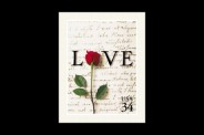 Calligraphies