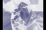 winfyalex et mlleD3