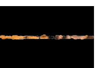 ban2-copie-1.gif
