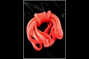Cordelette