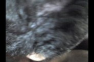 2009-01-26-046.jpg
