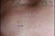 Plan-Flo-03-juin-2011 0038