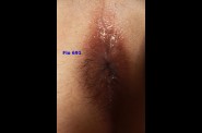 Plan 2011-07-05 017