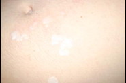 2009-02-11-Photo-020.jpg
