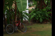 La-bicyclette-au-jardin--Panagsama-.jpg