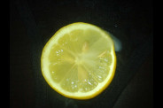 citron_-3-.jpg