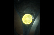 citron_-4-.jpg