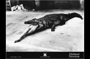 Helmut-Newton---Crocodile-And-Ballerina-2402893.jpg