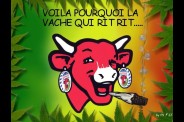 vache-qui-fume.jpg