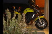 dsc00264.jpg