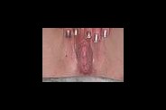chatte-wap-ongle.jpg