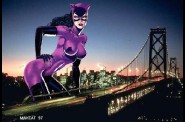 catwoman2.jpg