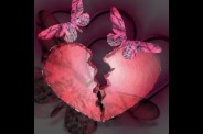 coeur_brise_h033245_l.jpg