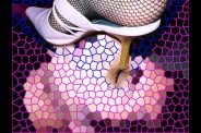 l'Oeil