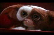 gremlins2SPLASH-copie-1.jpg