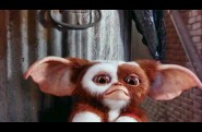 gremlins2_1-copie-1.jpg