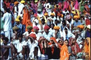 pushkar2.jpg