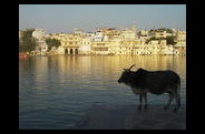 rajasthan.jpg
