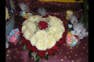 IMG_0471.JPG