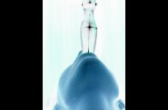 porn-art-008--2-.jpg